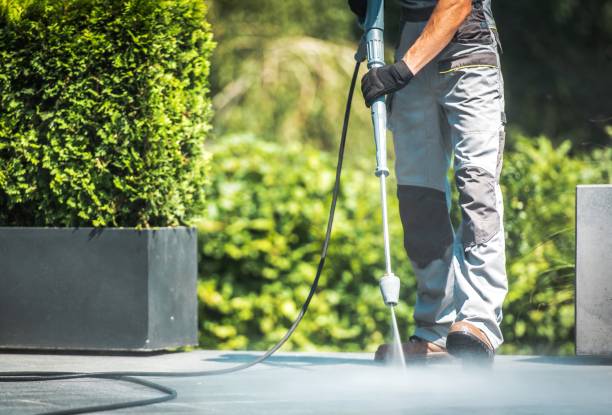 Best Animal Enclosure Cleaning  in Richmond Heights, FL